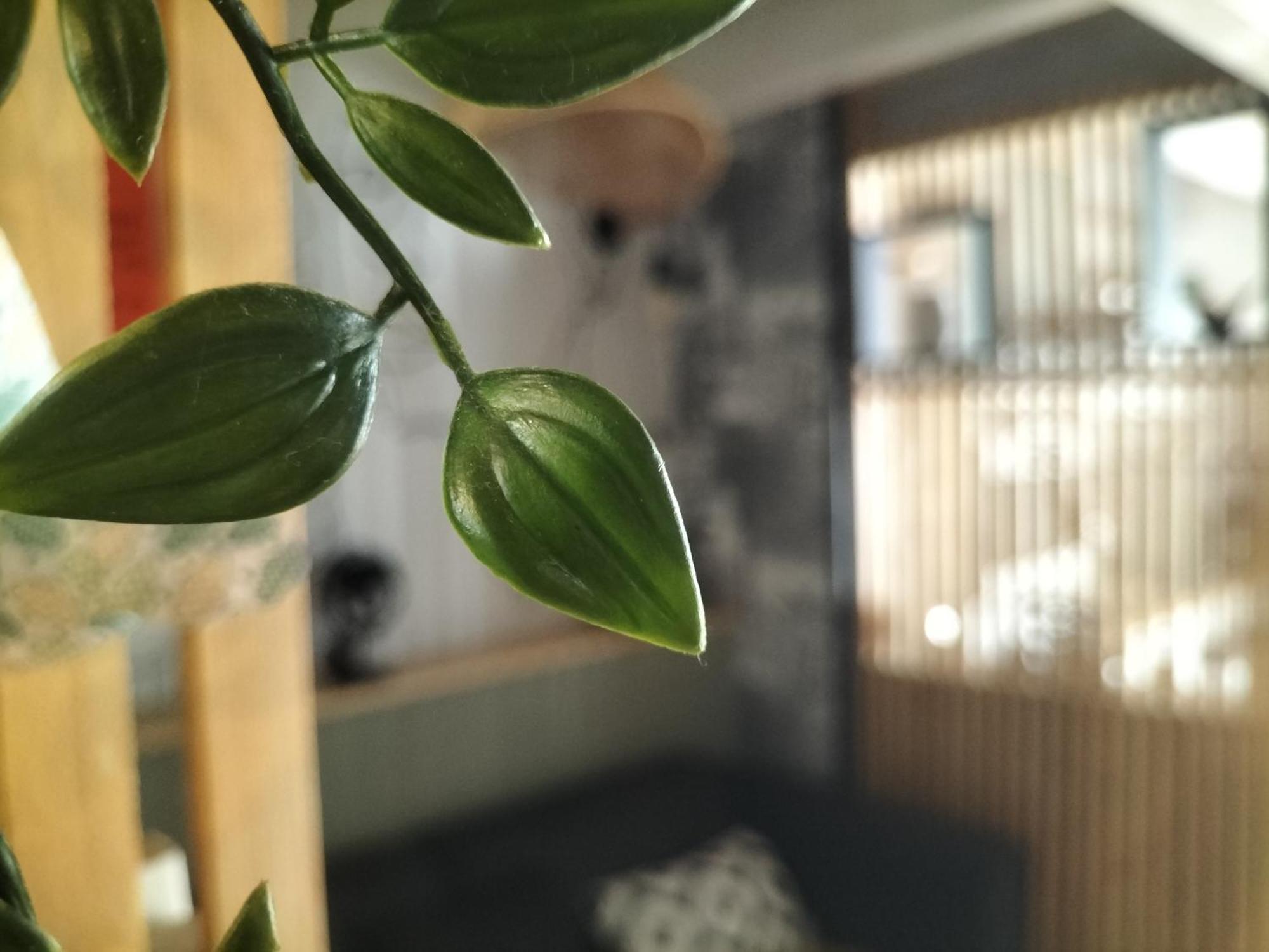 MérignacAu Bord Du Vieux Moulinアパートメント エクステリア 写真